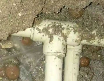 江华测漏水多少钱