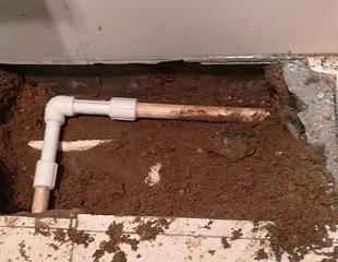 江华测漏水哪家好