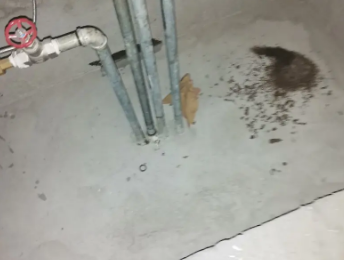 江华卫生间测漏水价格明细