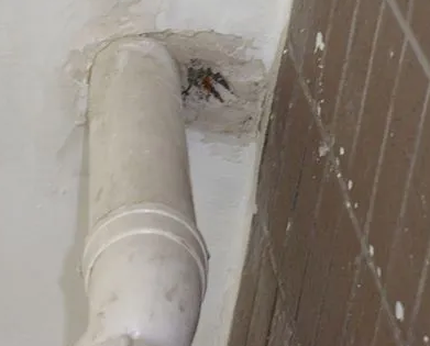 江华漏水检测哪家好